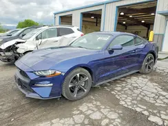 1FA6P8TH0K5117465 2019 FORD MUSTANG