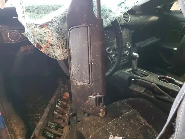 1FA6P8TH0K5118843 2019 FORD MUSTANG - Image 8