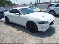 1FA6P8TH0K5129356 2019 FORD MUSTANG
