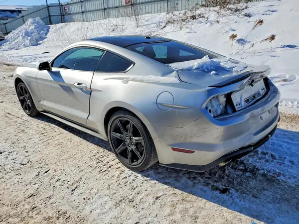 1FA6P8TH0K5129499 2019 FORD MUSTANG - Image 2