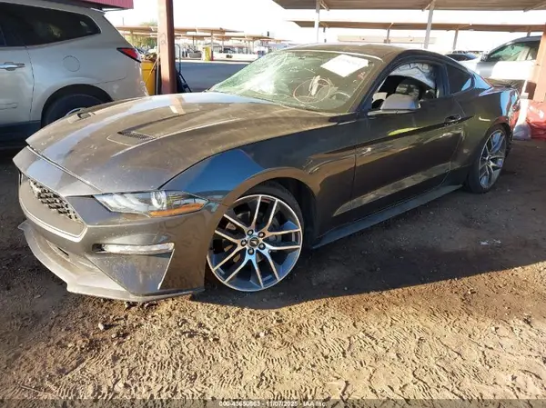 1FA6P8TH0K5130975 2019 FORD MUSTANG - Image 2