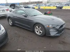 1FA6P8TH0K5141149 2019 FORD MUSTANG