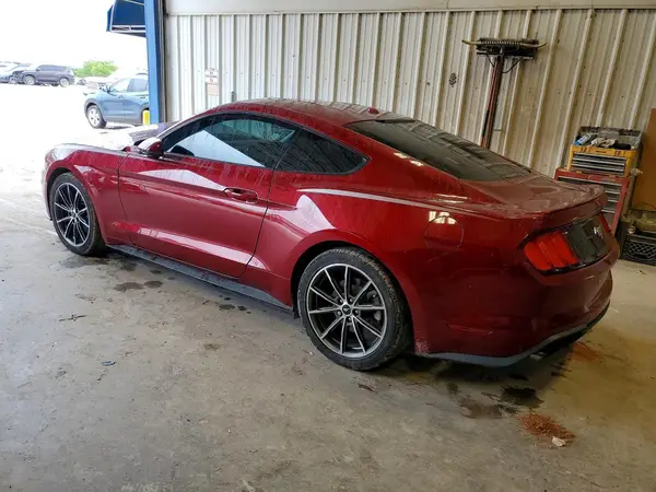 1FA6P8TH0K5152961 2019 FORD MUSTANG - Image 2