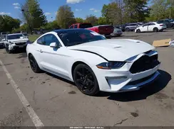 1FA6P8TH0K5153186 2019 FORD MUSTANG
