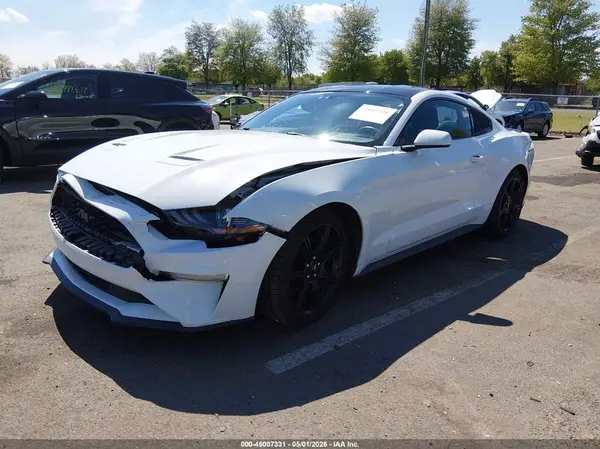 1FA6P8TH0K5153186 2019 FORD MUSTANG - Image 2