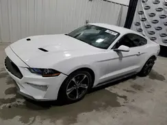 1FA6P8TH0K5157352 2019 FORD MUSTANG