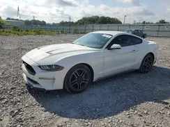 1FA6P8TH0K5162129 2019 FORD MUSTANG