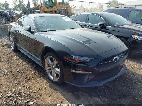 1FA6P8TH0K5163443 2019 FORD MUSTANG - Image 1