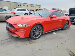1FA6P8TH0K5163460 2019 FORD MUSTANG