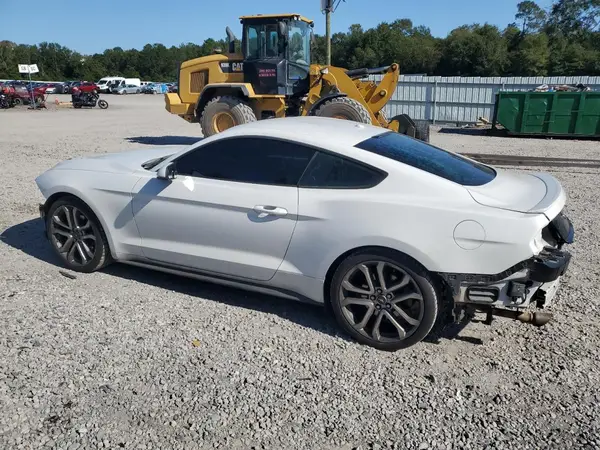 1FA6P8TH0K5166245 2019 FORD MUSTANG - Image 2