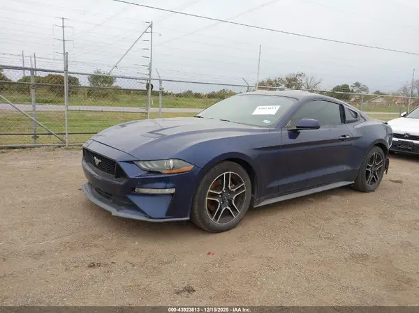 1FA6P8TH0K5167430 2019 FORD MUSTANG - Image 2