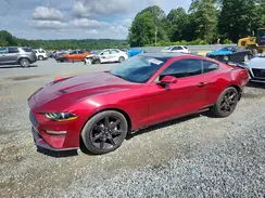 1FA6P8TH0K5167704 2019 FORD MUSTANG