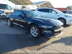 1FA6P8TH0K5169520 2019 FORD MUSTANG