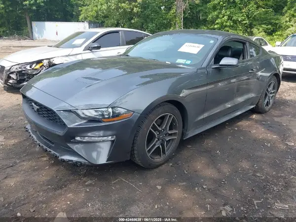 1FA6P8TH0K5172014 2019 FORD MUSTANG - Image 2