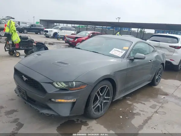 1FA6P8TH0K5172076 2019 FORD MUSTANG - Image 2