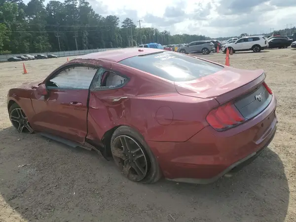 1FA6P8TH0K5173812 2019 FORD MUSTANG - Image 2