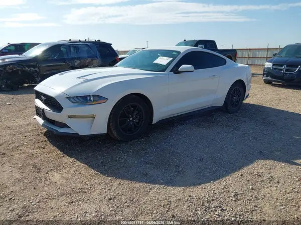 1FA6P8TH0K5175222 2019 FORD MUSTANG - Image 2