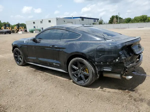 1FA6P8TH0K5177357 2019 FORD MUSTANG - Image 2