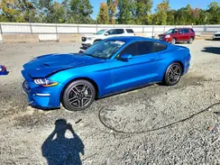 1FA6P8TH0K5178167 2019 FORD MUSTANG