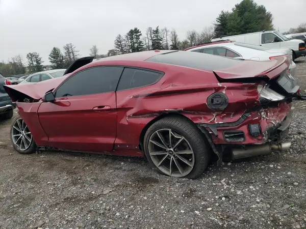 1FA6P8TH0K5179223 2019 FORD MUSTANG - Image 2