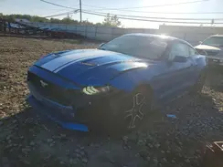 1FA6P8TH0K5179240 2019 FORD MUSTANG