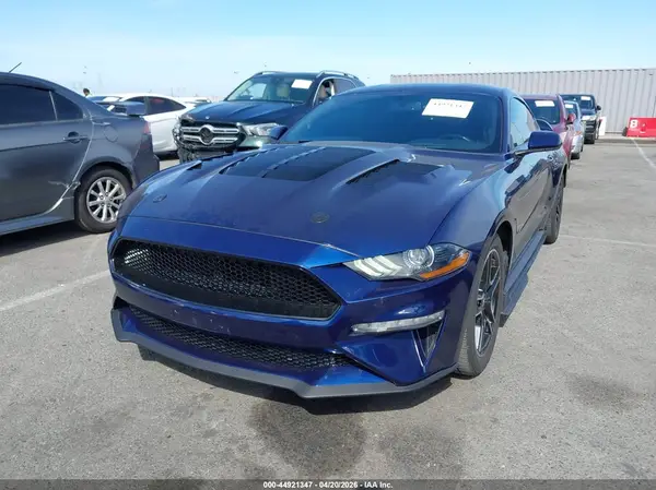 1FA6P8TH0K5184261 2019 FORD MUSTANG - Image 2