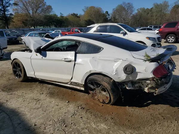 1FA6P8TH0K5190920 2019 FORD MUSTANG - Image 2