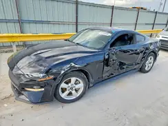 1FA6P8TH0K5192442 2019 FORD MUSTANG