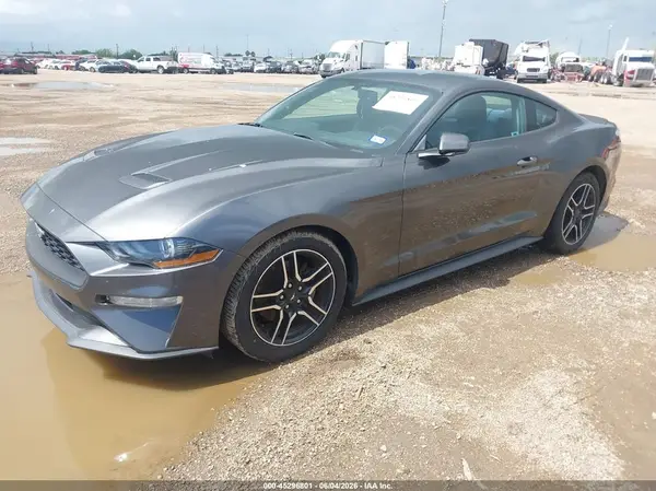 1FA6P8TH0K5192974 2019 FORD MUSTANG - Image 2