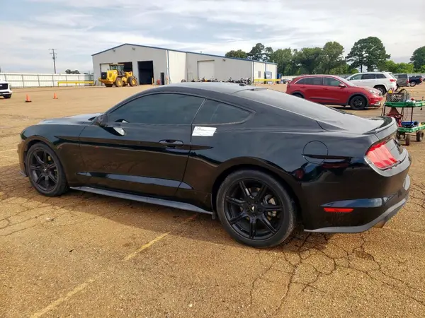 1FA6P8TH0K5194448 2019 FORD MUSTANG - Image 2