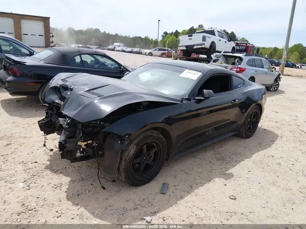 1FA6P8TH0K5203178 2019 FORD MUSTANG - Image 2
