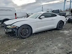 1FA6P8TH0M5103696 2021 FORD MUSTANG