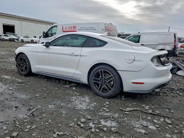 1FA6P8TH0M5103696 2021 FORD MUSTANG - Image 2