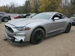 1FA6P8TH0M5113144 2021 FORD MUSTANG
