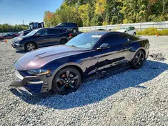 1FA6P8TH0P5101466 2023 FORD MUSTANG