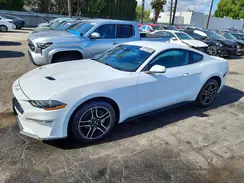 1FA6P8TH0P5105131 2023 FORD MUSTANG
