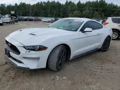 1FA6P8TH0P5113214 2023 FORD MUSTANG