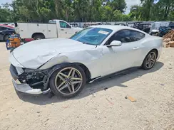 1FA6P8TH0R5102572 2024 FORD MUSTANG