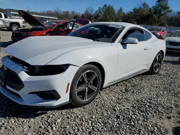 1FA6P8TH0R5106671 2024 FORD MUSTANG - Image 1