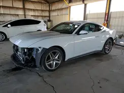 1FA6P8TH0R5109893 2024 FORD MUSTANG