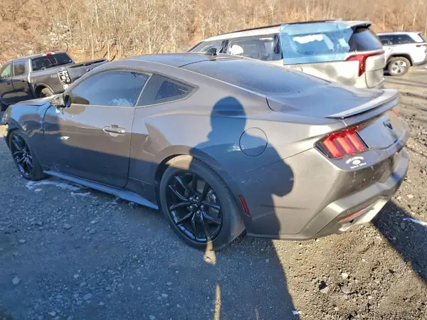1FA6P8TH0R5112535 2024 FORD MUSTANG - Image 2