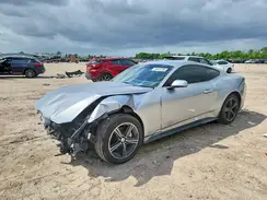 1FA6P8TH0R5113071 2024 FORD MUSTANG