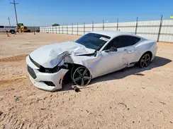 1FA6P8TH0R5113149 2024 FORD MUSTANG