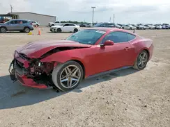 1FA6P8TH0R5113362 2024 FORD MUSTANG