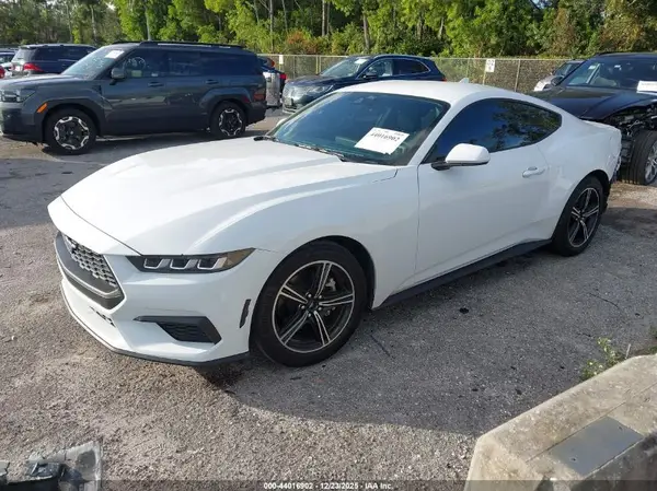 1FA6P8TH0R5114642 2024 FORD MUSTANG - Image 2