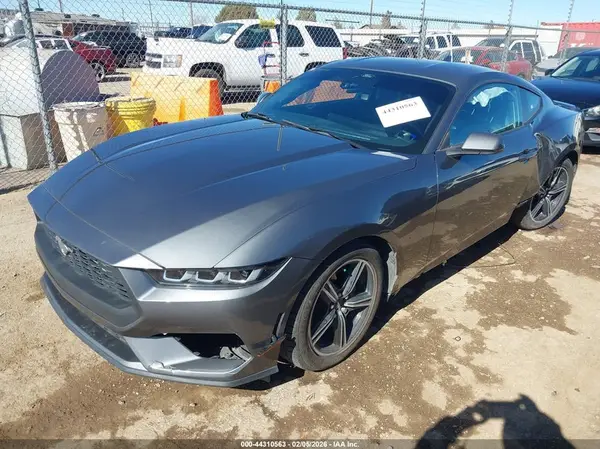 1FA6P8TH0R5120389 2024 FORD MUSTANG - Image 2