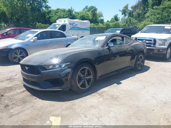 1FA6P8TH0R5120523 2024 FORD MUSTANG - Image 2