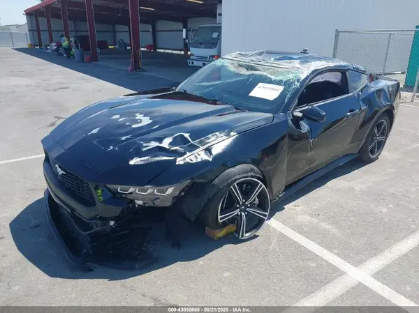 1FA6P8TH0R5121834 2024 FORD MUSTANG - Image 2