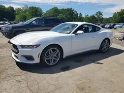 1FA6P8TH0R5125981 2024 FORD MUSTANG