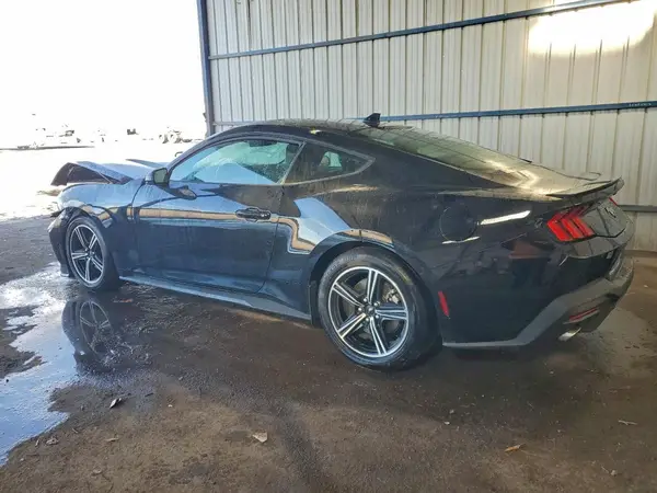 1FA6P8TH0R5131537 2024 FORD MUSTANG - Image 2
